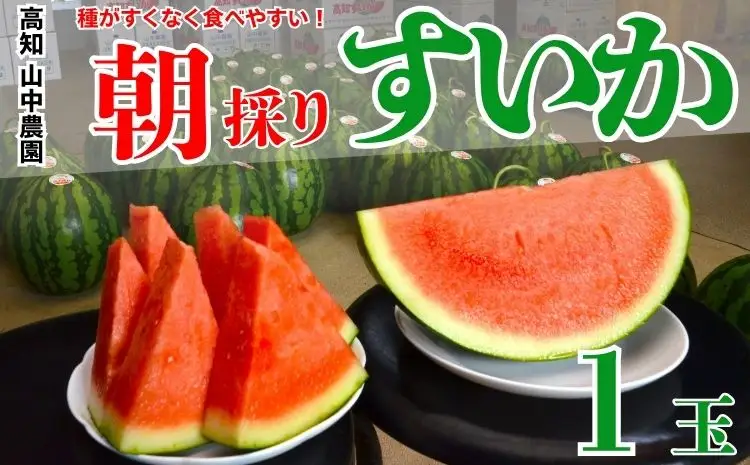 103001　山中農園のスイカ　1玉