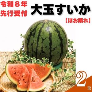 103002　山中農園のスイカ　2玉