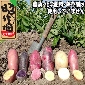 106001　じゃがいも食べ比べセット5㎏