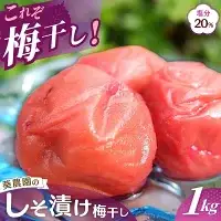 紀州南高梅 しそ漬け梅 1kg 塩分20％ 添加物不使用 / 梅 うめ ウメ  梅干し 梅干 しそ 紫蘇 シソ しそ漬け 紫蘇漬け 南高梅 紀州南高梅 和歌山県 田辺市 【aoi013-2】