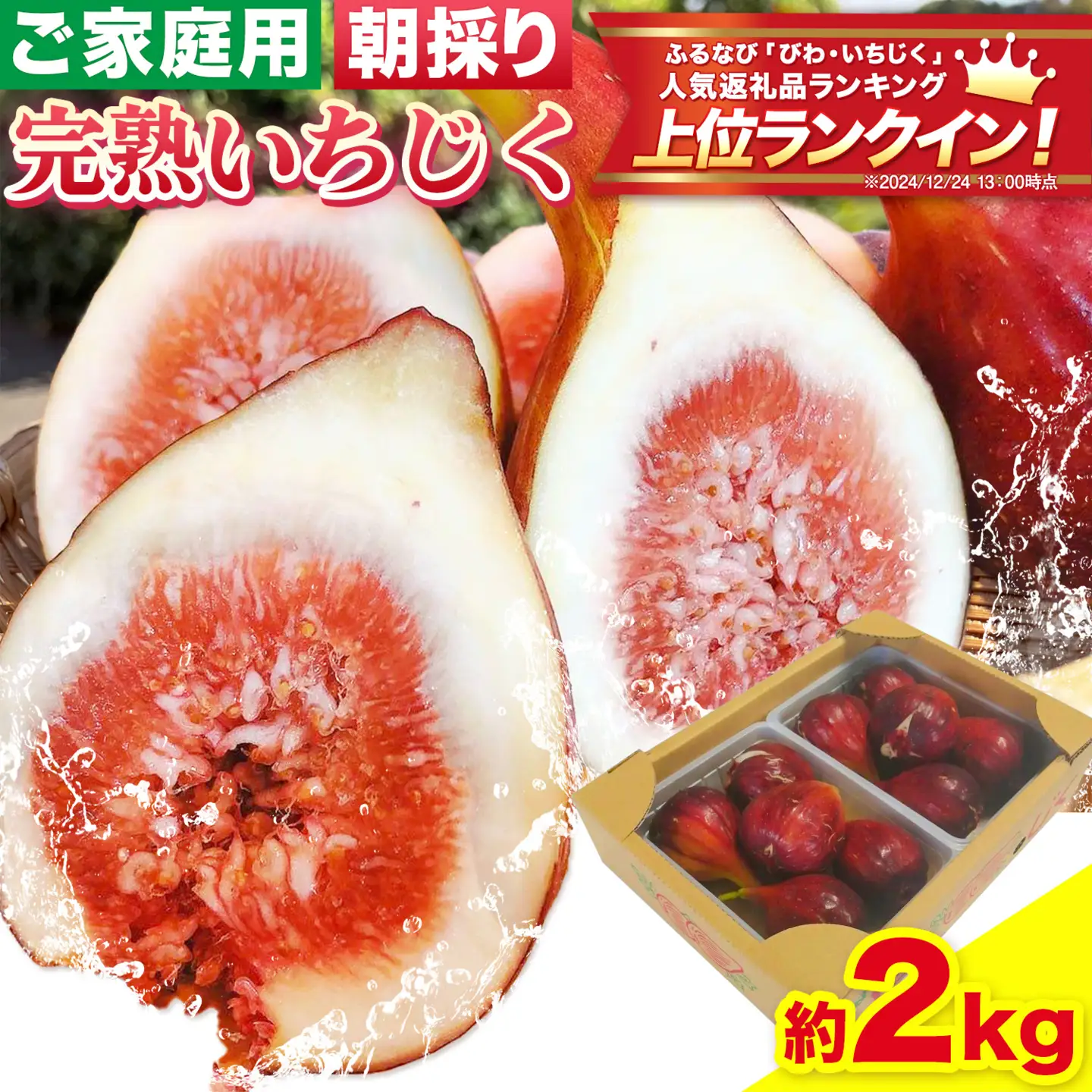 ご家庭用朝採り完熟いちじく 約2kg 