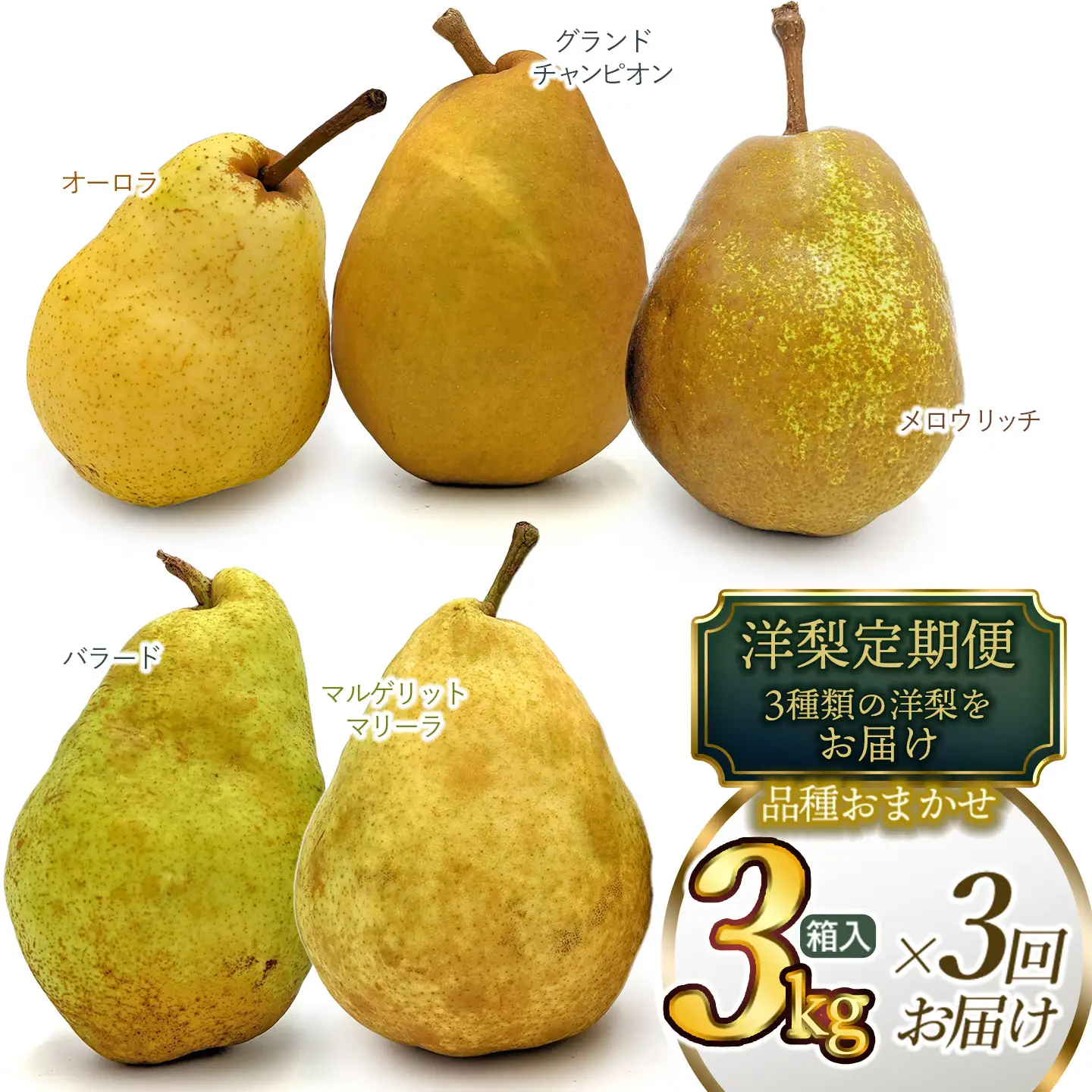 【令和8年産先行予約】 洋梨定期便　3種類の洋梨をお届け（品種おまかせ）　約3kg×3回　山形県鶴岡市産　庄内産直センター　| 洋なし 洋ナシ 果物 定期便 旬 期間限定 食べ比べ 人気 美味しい お取り寄せ 庄内 東北 返礼品