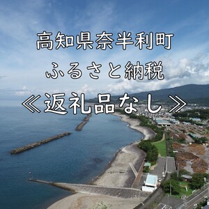 999999-1　高知県奈半利町応援寄附金（返礼品なし）
