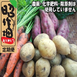 106901　昭作畑　定期便