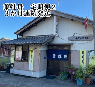 119904　葉牡丹 定期便2