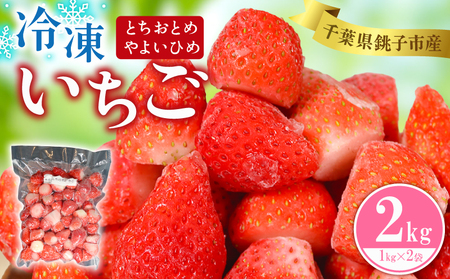 いちご とちおとめ やよいひめ 1kg×2パック 計2kg いちご 冷凍 | 千葉