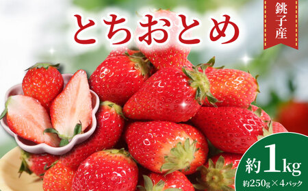 先行予約 いちご とちおとめ 約250g×4パック 計1kg いちご
