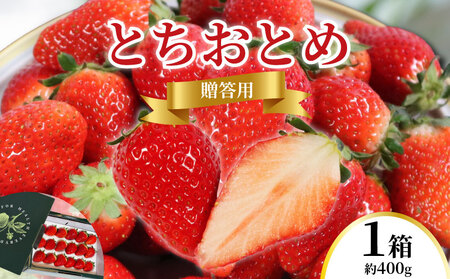 先行予約 いちご とちおとめ 400g 苺 贈答用 化粧箱