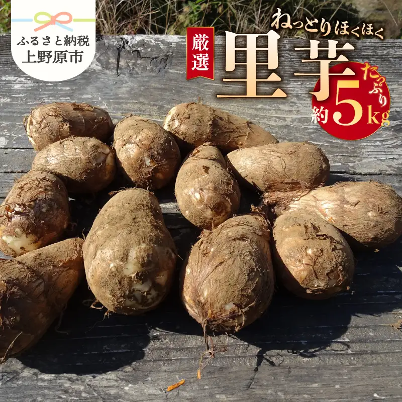 【2026年先行予約】◆◆2026年度収穫分◆◆ 「農家 農天氣がおくる」山梨県上野原市産 里芋 約5kg