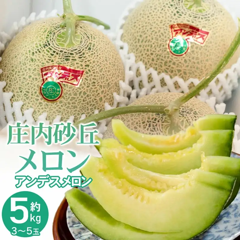 【令和8年産先行予約】菅原農園の庄内砂丘メロン 約5kg （3玉～5玉） アンデス メロン 【7月下旬～8月上旬】　K-835　菅原農園　鶴岡地区物産協同組合 | 庄内 砂丘 メロン アンデスメロン ギフト 夏 旬 フルーツ 夏ギフト お中元 砂丘育ち 甘い 糖度が高い 果物 青肉 特産品 名産品 贈答 新鮮 産地直送 農園直送 送料無料