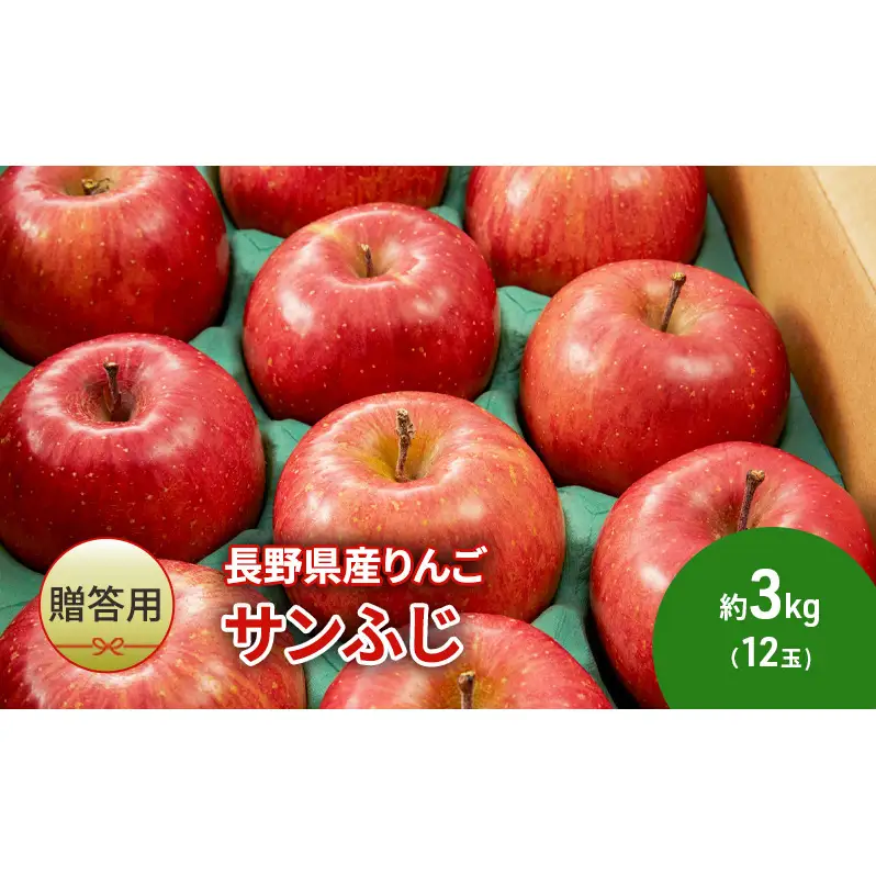りんご 長野 贈答用 リンゴ サンふじ 約3kg （12玉） 産地直送 ギフト プレゼント 贈答 贈答品 贈り物 フルーツ 果物 デザート サンフジ 秋 旬 信州 長野県 長野県産