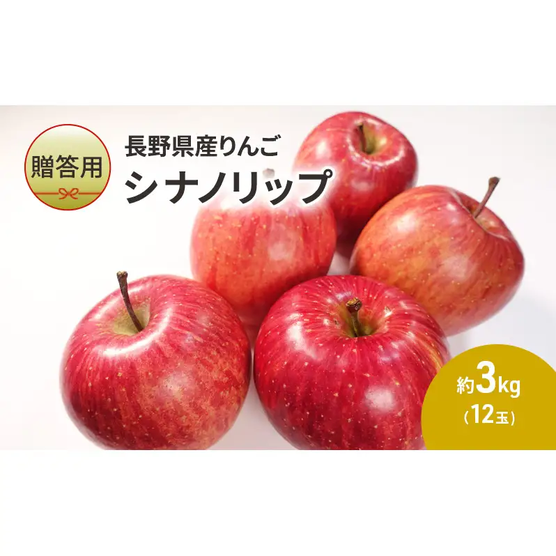 りんご 長野 贈答用 リンゴ シナノリップ 約3kg （12玉） 産地直送 ギフト プレゼント 贈答 贈答品 贈り物 フルーツ 果物 デザート おやつ 林檎 旬 信州 長野県 長野県産