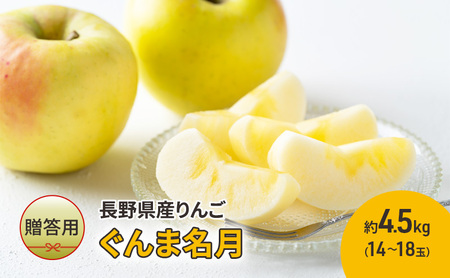りんご 長野 贈答用 リンゴ ぐんま名月 約4.5kg（14玉～18玉） 産地直送 ギフト プレゼント 贈答 贈答品 贈り物 蜜 フルーツ 果物 デザート 林檎 秋 旬 信州 長野県