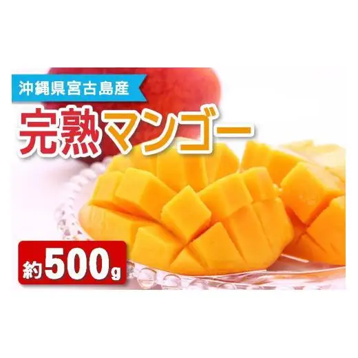 【宮古島産マンゴー】おためしセット1玉（約500ｇ）マンゴーファーム宮古島（FQ014）