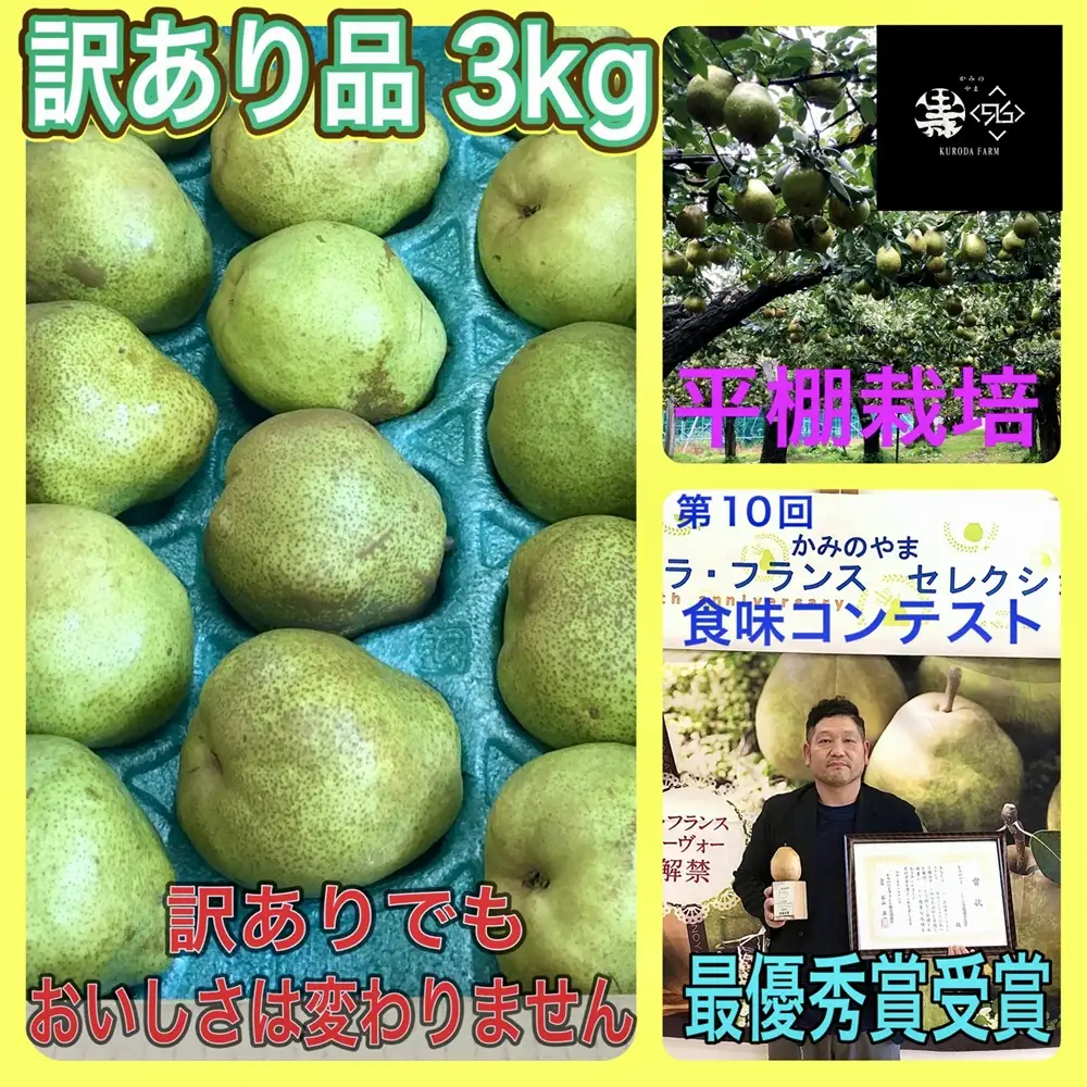 西洋梨（ラ・フランス）３ｋｇ　ご家庭用　0102-2604