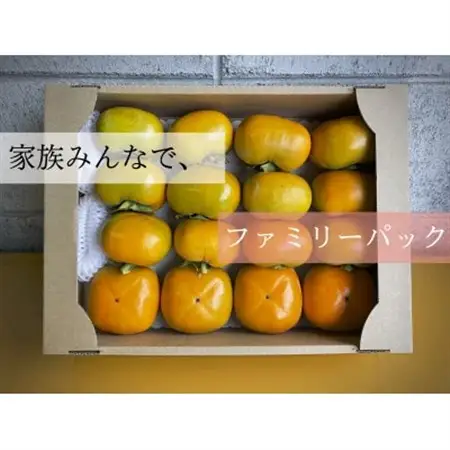 【先行受付】キタヤマ果樹園のたねなし柿　ファミリーパック(家庭用)15～20個入り(L～3L)_果物・フルーツ 柿（カキ）  かき_【1342155】