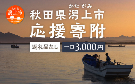 応援寄附金（返礼品なし）3,000円