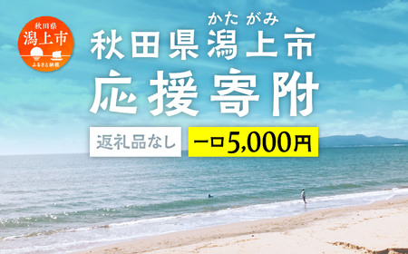 応援寄附金（返礼品なし）5,000円