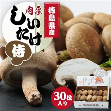 徳島県産菌床生椎茸　しいたけ侍　30枚入_野菜 松茸 きのこ まつたけ マツタケ_【配送不可地域：離島】【1302531】