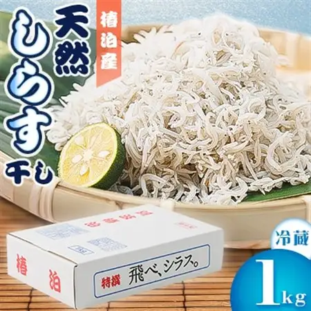 【冷蔵】天然しらす干し1kg　おすそ分けに人気_魚介・海産物 しらす・ちりめん  シラス チリメン_【配送不可地域：離島】【1386282】