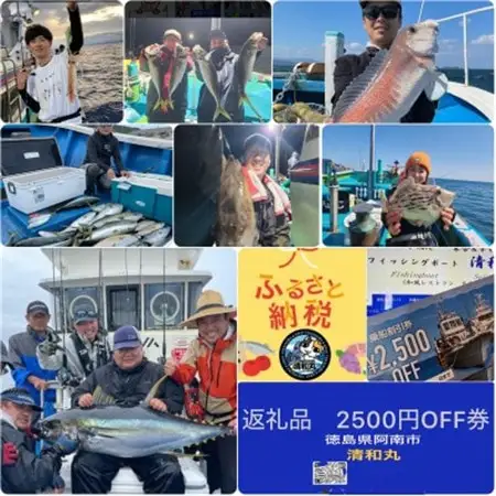 徳島清和丸 阿南沖釣り船 割引チケット×5枚セット_旅行券・チケット 釣り 体験チケット _【1494667】