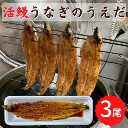 【3尾】活鰻　おいしいうな丼が作れる国産うなぎ蒲焼3本(タレ3ヶ入)_魚介・海産物 うなぎ  ウナギ 鰻_【配送不可地域：離島】【1377104】