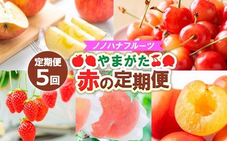 【定期便5回】ノノハナフルーツ やまがた赤の定期便 FY25-812