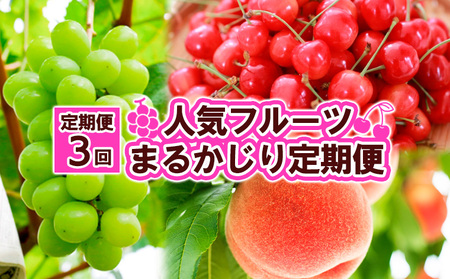 【定期便3回】人気フルーツ まるかじり定期便 FZ25-726