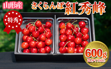 さくらんぼ 「紅秀峰」 600g 特秀品 2Lサイズ以上 山形産【令和8年産先行予約】 FS24-037 くだもの 果物 フルーツ 山形 山形県 山形市 2026年産