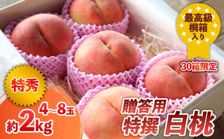 最高級桐箱入り 贈答用 特撰 白桃 約2kg (30箱限定)【令和8年産先行予約】 FS24-045 くだもの 果物 フルーツ 山形 山形県 山形市 2026年産
