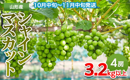 山形市産 シャインマスカット 3.2kg以上(4房)【後半】 FY24-058