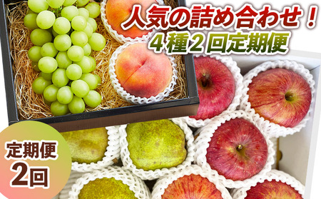【定期便2回】人気の詰め合わせ！4種2回定期便【令和8年産先行予約】 FS24-087 くだもの 果物 フルーツ 山形 山形県 山形市 人気 2026年産