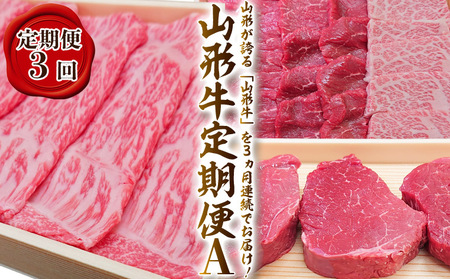 【定期便3回】山形牛定期便A[冷蔵便] FY25-913