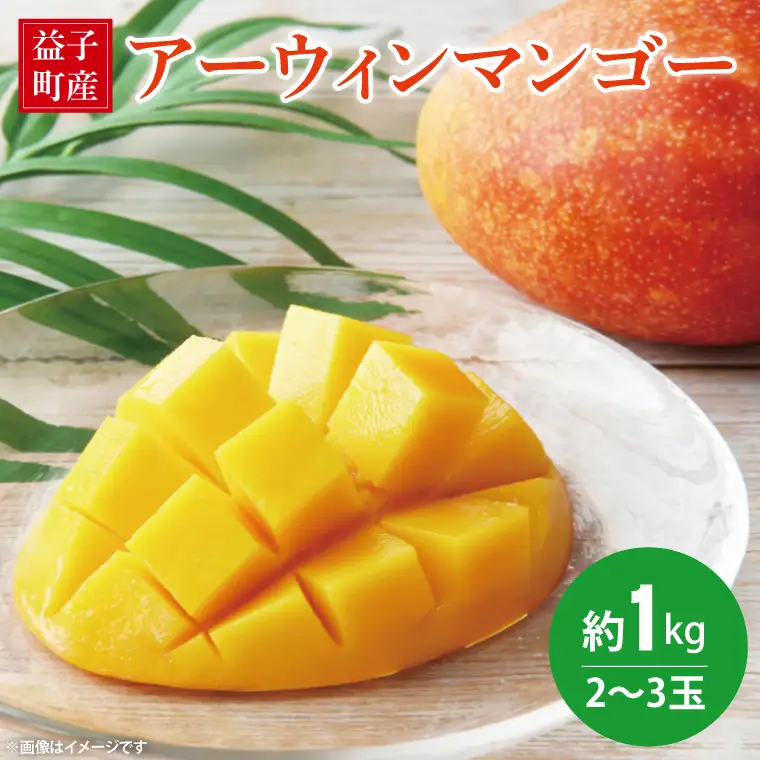 【先行予約】マンゴー 約1kg 2～3玉 益子町産 CA005