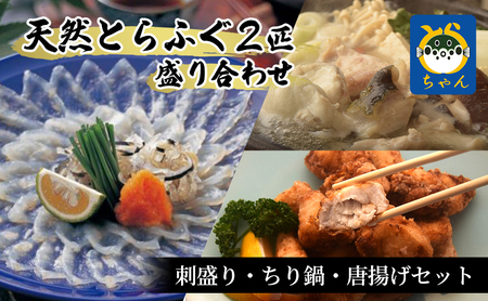 【千葉県産】天然とらふぐ2匹盛り合わせ　刺盛り・ちり鍋・唐揚げセット 魚貝類 フグ 
