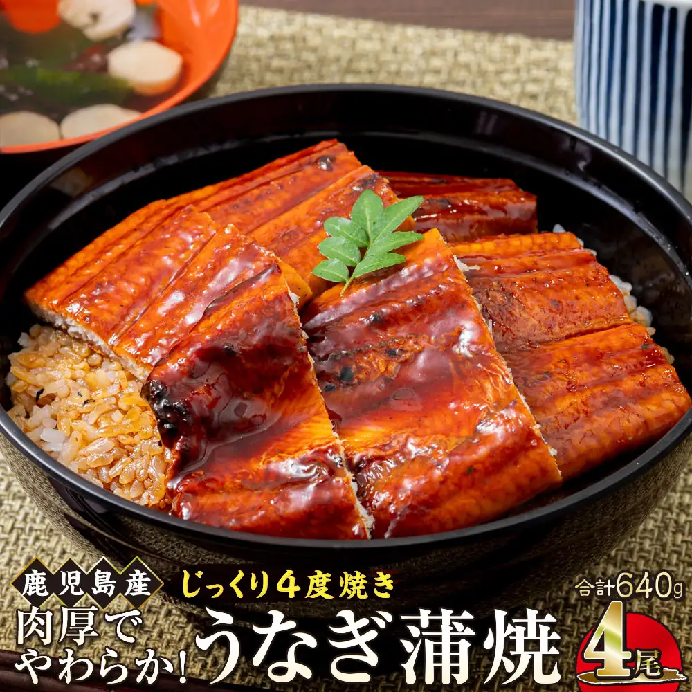 うなぎ 蒲焼 160g×4尾【鹿児島産】地下水で育てた絶品鰻｜うなぎ