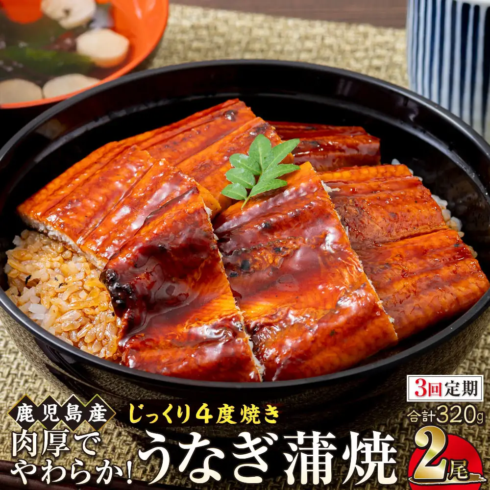【3回定期】うなぎ 蒲焼 160g×2尾【鹿児島産】地下水で育てた絶品鰻｜うなぎ