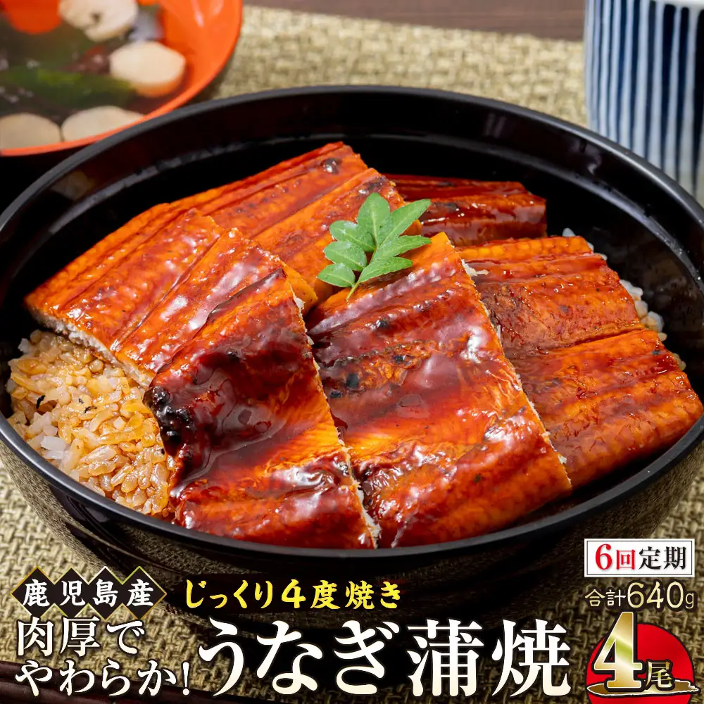 【6回定期】うなぎ 蒲焼 160g×4尾【鹿児島産】地下水で育てた絶品鰻｜うなぎ