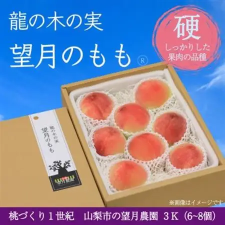 【2026年発送】硬めの品種の桃・3K(6~8個)「龍の木の実 望月のもも」【配送不可地域：離島】【1495522】
