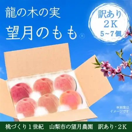 【2026年発送】訳あり桃・2K(5~7個)「龍の木の実 望月のもも」【配送不可地域：離島】【1495639】