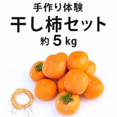 【先行受付】柳フルーツ園 干し柿セット 約5kg_果物・フルーツ 柿（カキ）  かき_【1457269】