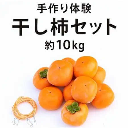 【先行受付】柳フルーツ園 干し柿セット 約10kg_果物・フルーツ 柿（カキ）  かき_【1457279】