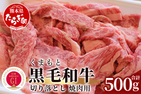 【G1認証】くまもと黒毛和牛 切り落とし 500g ブランド 牛肉 贅沢 切り落とし 熊本県産 熊本 肉 高級 黒毛和牛 和牛 熊本 多良木 100-0010