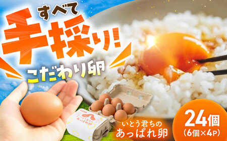 あっぱれ卵 24個 |いとう養鶏場 [UAQ001] 卵
