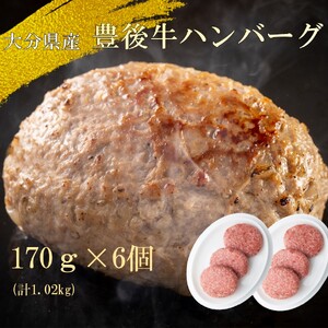 【黒毛和牛】豊後牛ハンバーグ計1.02kg(170g×6個)_2378R