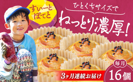 【全3回】さつまいも スイートポテト16個 さつまいも[XAD060]