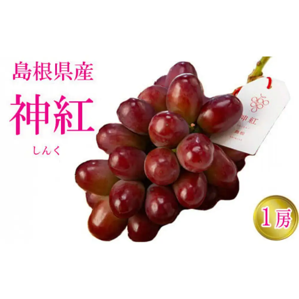 島根県オリジナル品種　神紅1房（500ｇ見当） 甘い 美味しい 新鮮  ぶどう フルーツ 果物 出雲市産