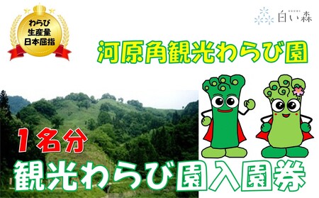 河原角観光わらび園入園券（1名様分）