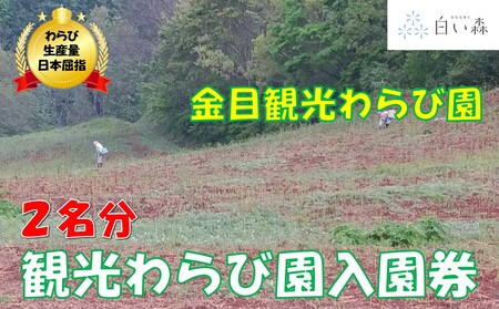 金目観光わらび園入園券（２名様分）