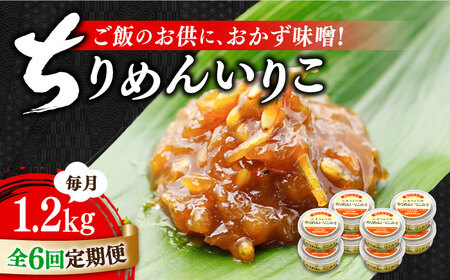 【全6回】味噌 ちりめんいりこみそ1200g 味噌[XBW036]